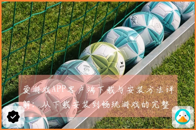 爱游戏APP客户端下载与安装方法详解：从下载安装到畅玩游戏的完整流程指导