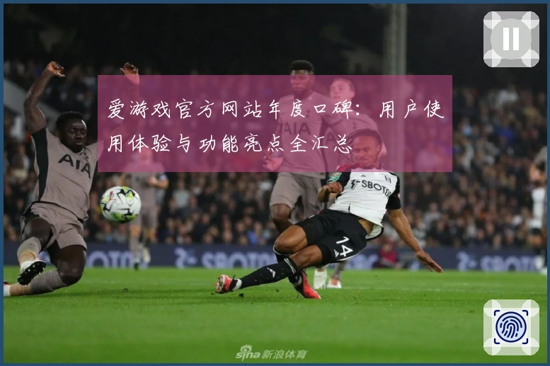 爱游戏官方网站年度口碑：用户使用体验与功能亮点全汇总